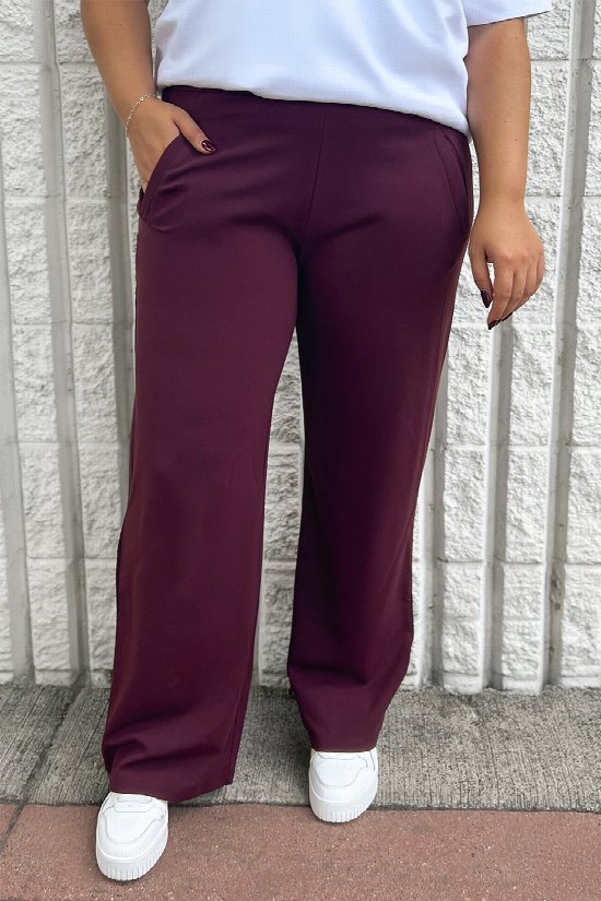 Well Suited Pants 2